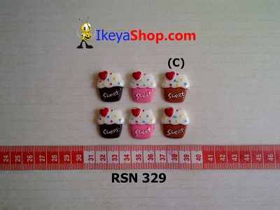 rsn 329  large2